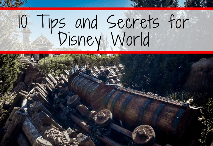 Planning a trip to Disney World can be overwhelming! Discover awesome tips and tricks to make planning and enjoying your trip to Disney World a breeze!#DisneyWorld #FamilyTravel #Travel