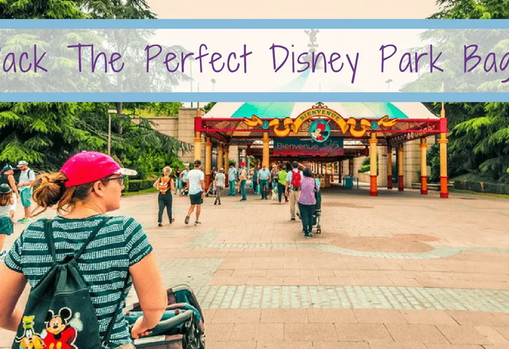 Things Everyone Should Bring For A Day At Disney – The Awesome Disney World Packing List is just a list of suggestions of what to pack for a Walt Disney World vacation. #DisneyWorld #FamilyTravel #Travel #disneypackinglist #packinglist #disneybag