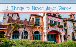 Things to never do at disney Things to never do at disney