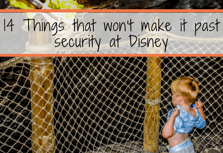 Disney security