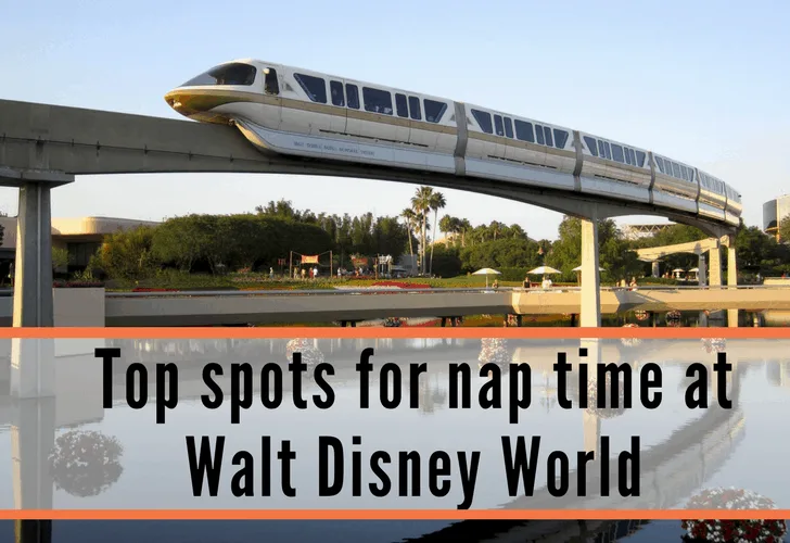 nap time at Walt Disney World