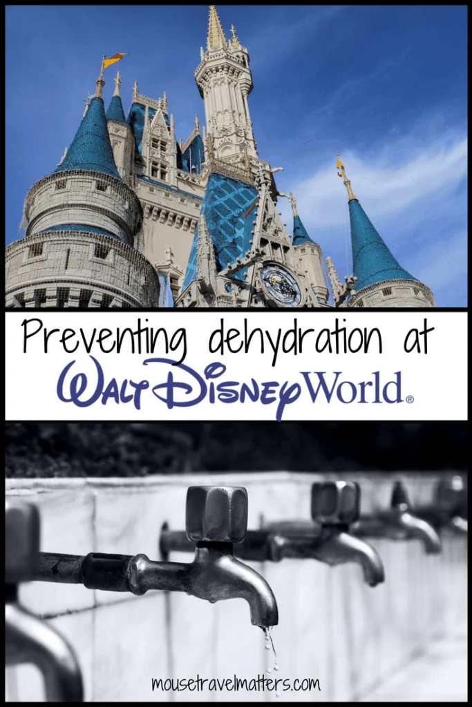 Preventing dehydration in kids and adults while at Disney can help to avert a bad vacation experience. Get some tips on what to pack for a "hydrated" day at Walt Disney World. #dehydration #Dehydration #Effects #HealthyBody #dehydration #water #healthtips #summertips #medicaltips #help #drought #theheatn and their home remedies. #dehydration #water #healthtips #summertips #medicaltips #help #drought #theheat #disney #disneyworld #waltdisneyworld #disneywithkids #familytravel #travelsafe #florida #summerheat
