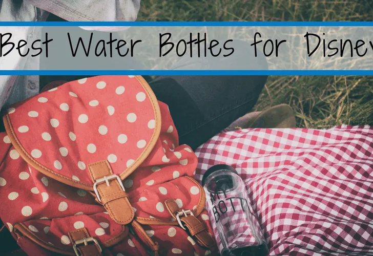 Best water bottles to bring to Disney! Save money and hassle by buying these smart choices now. Different water bottle types for everyone in the family, from kids to adults. * Best infuser water bottle * Best sports water bottle #insulatedbottle #waterbottle #Disney #Disneyworld #waltdisneyworld #Disneyland #Orlando #florida #budget #traveltips #drinkmorewater #stayhydrated #health #wellness #cleaneating #healthyeating #style #stylishbottle #cutewaterbottle #GoGreen #Ecofriendly #greensyourcolour