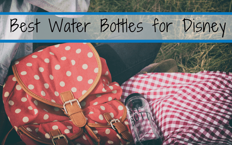 Best water bottles to bring to Disney! Save money and hassle by buying these smart choices now. Different water bottle types for everyone in the family, from kids to adults. * Best infuser water bottle * Best sports water bottle #insulatedbottle #waterbottle #Disney #Disneyworld #waltdisneyworld #Disneyland #Orlando #florida #budget #traveltips #drinkmorewater #stayhydrated #health #wellness #cleaneating #healthyeating #style #stylishbottle #cutewaterbottle #GoGreen #Ecofriendly #greensyourcolour