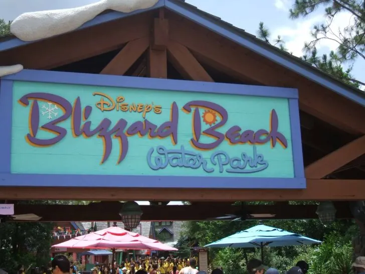 Everything you need to know about Disney's Blizzard Beach Waterpark. #waltdisneyworld #disney #disneyparks #disneyworld #disneytips #blizzardbeach