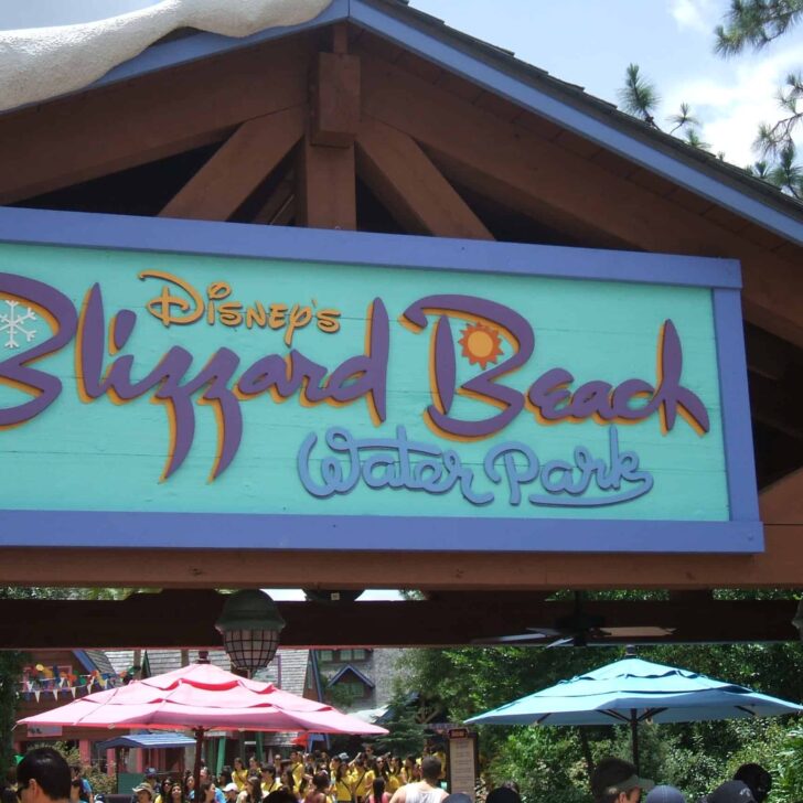 Everything you need to know about Disney's Blizzard Beach Waterpark. #waltdisneyworld #disney #disneyparks #disneyworld #disneytips #blizzardbeach
