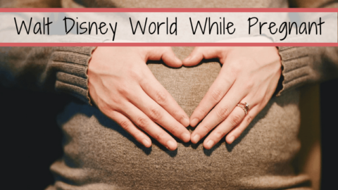 There is no reason to avoid Walt Disney World just because you are pregnant. There are still plenty of rides and activities to keep you busy and entertained. Knowing in advance what types of rides to avoid while pregnant will save walking time and disappointment. #waltdisneyworld #travelwhilepregnant #pregnant #pregnancy #momtobe #disney