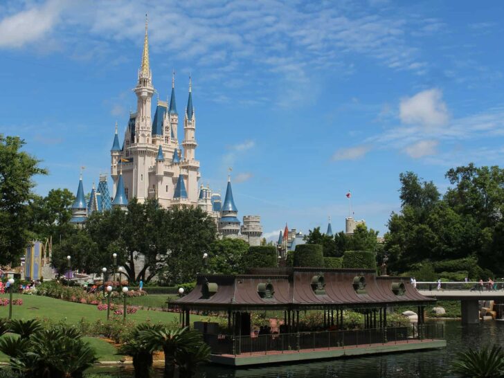 Helpful guide to choosing the best fastpass + rides for Walt Disney World, based on ride popularity and expected wait times in the standby lines. #fastpass #waltdisneyworld #myexperience #disneyworld