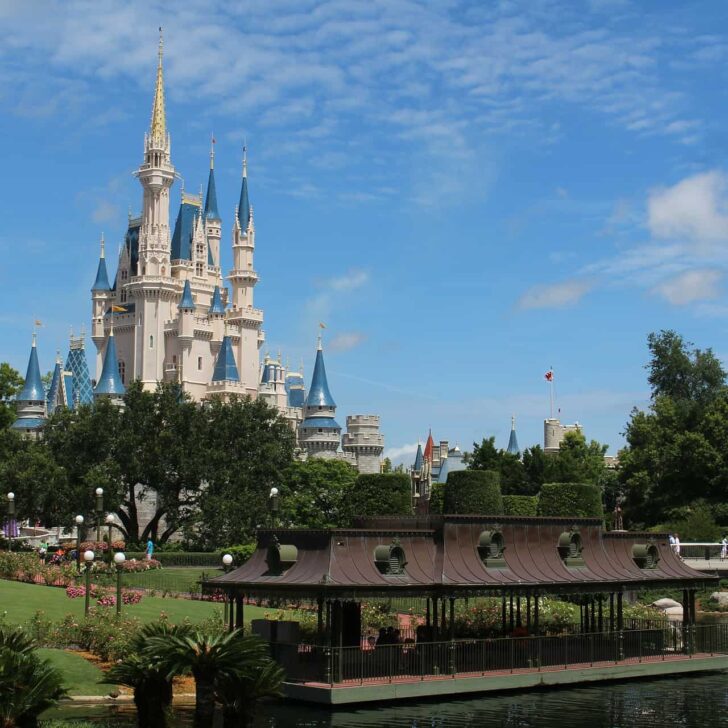 Helpful guide to choosing the best fastpass + rides for Walt Disney World, based on ride popularity and expected wait times in the standby lines. #fastpass #waltdisneyworld #myexperience #disneyworld