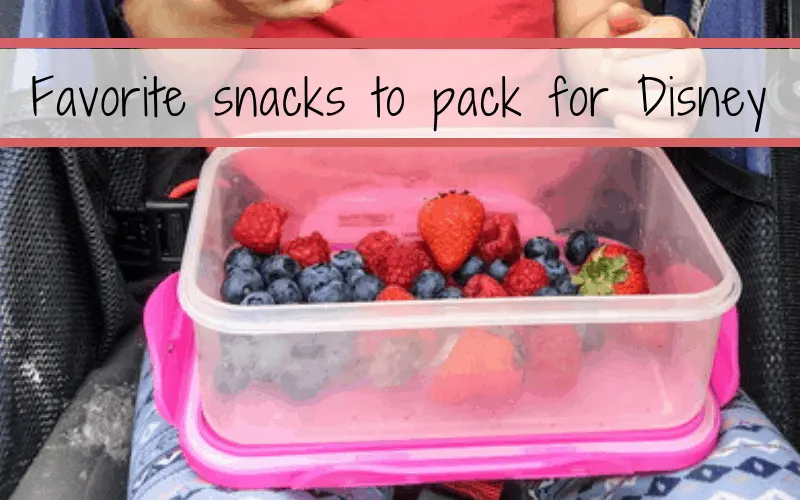 Favorite snacks to pack for Disney