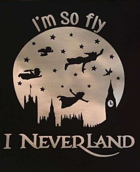 There are tons of Disney shirts on Etsy - this post rounds up some of the best Disney shirts you can find out there for your next trip!