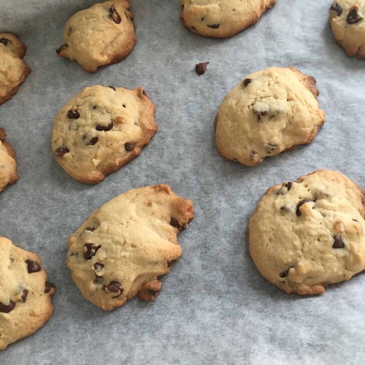 Chocolate Chip Cookies from Our Disney Snack Bag • Mouse Travel Matters