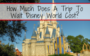 disney world trip cost from india