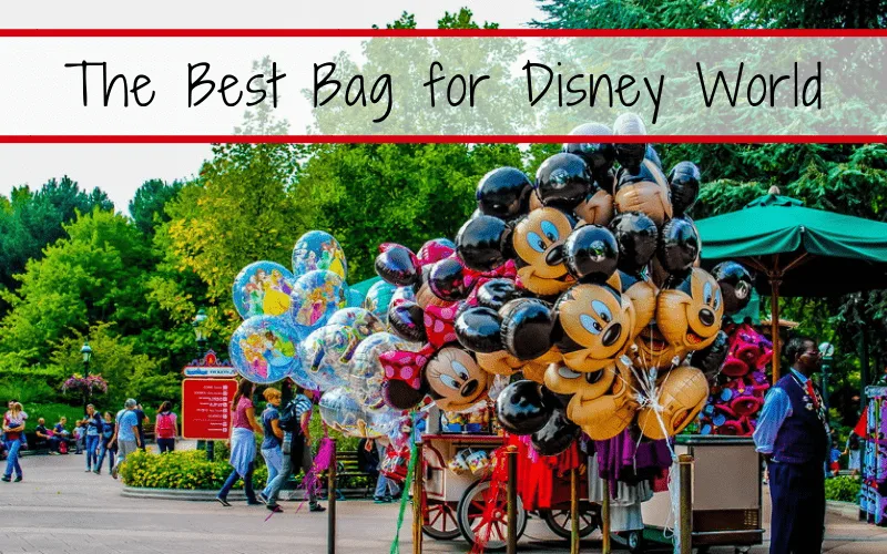 Best sling bag for clearance disney world