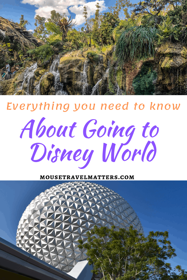 Everything You Need to Know About Going to Disney World