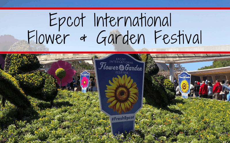 The 2020 Epcot International Flower & Garden Festival runs from March 04 - June 01, 2020, at Walt Disney World. This guide covers our tips & tricks for experiencing everything Epcot's Flower and Garden Festival has to offer. #wdw #epcotfestival #epcotflowerandgarden #2020epcotflowerandgardenfestival
