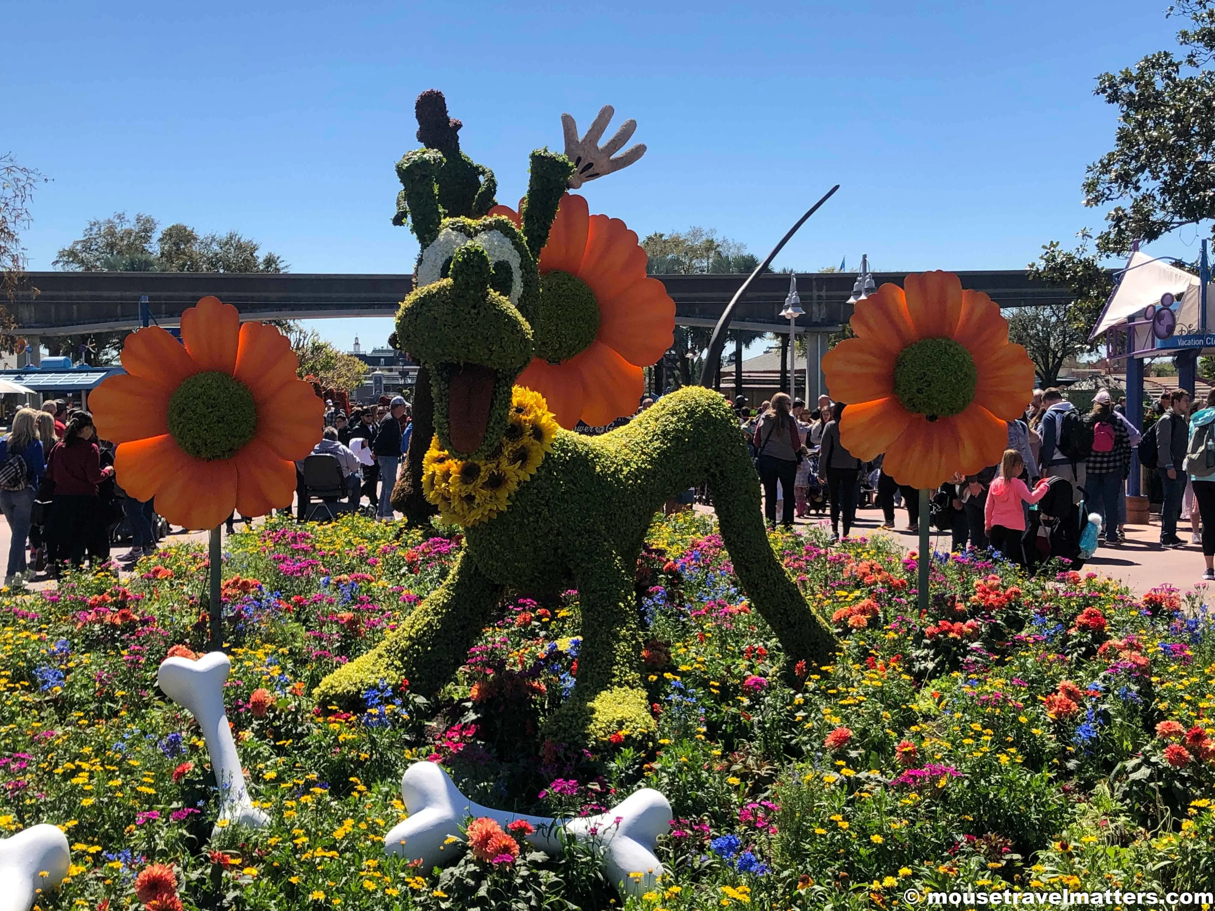 The 2020 Epcot International Flower & Garden Festival runs from March 04 - June 01, 2020, at Walt Disney World. This guide covers our tips & tricks for experiencing everything Epcot's Flower and Garden Festival has to offer. #wdw #epcotfestival #epcotflowerandgarden #2020epcotflowerandgardenfestival
