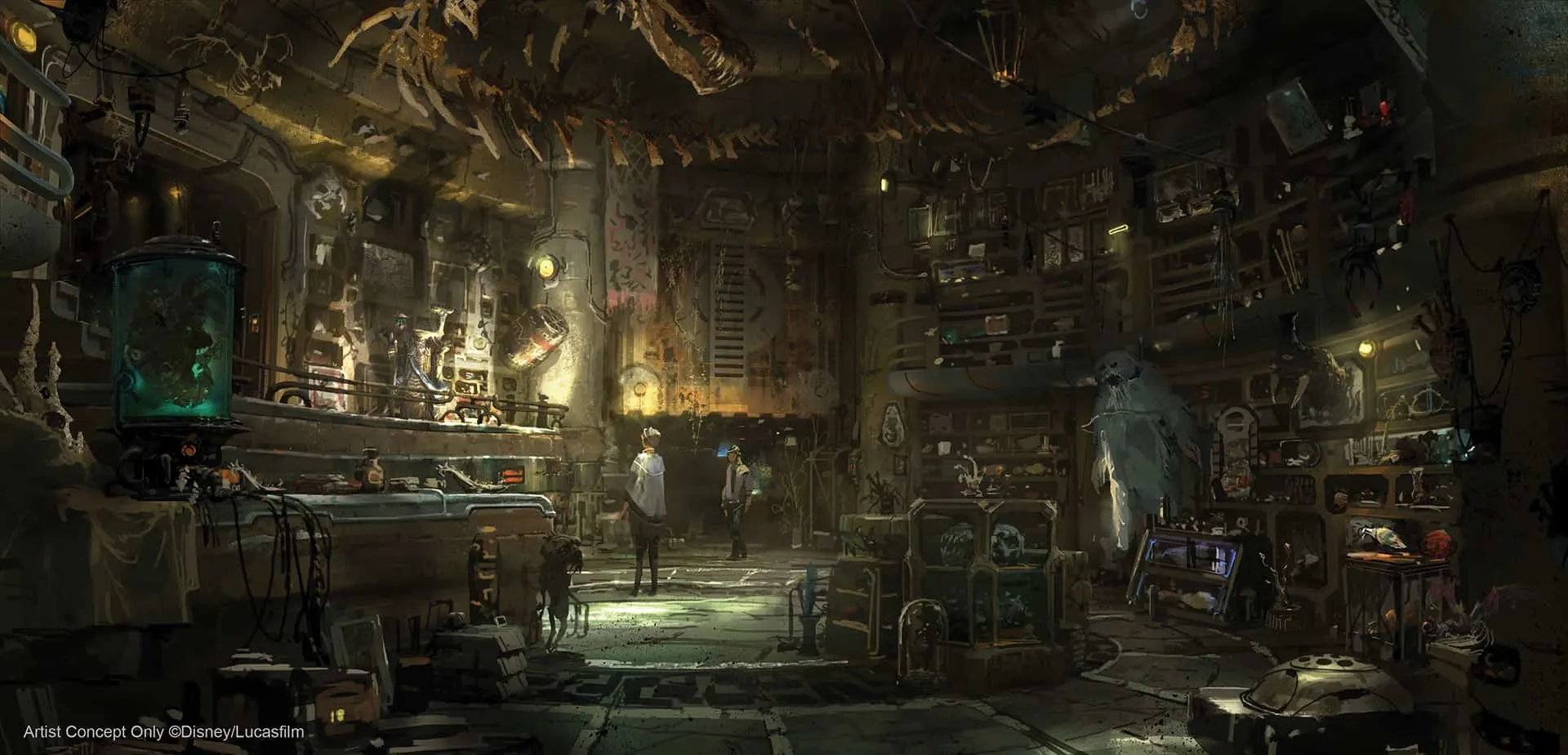 Concept art of Dok-Ondar’s Den of Antiquities, home of rare Jedi artifacts and more. (Disney Parks)
