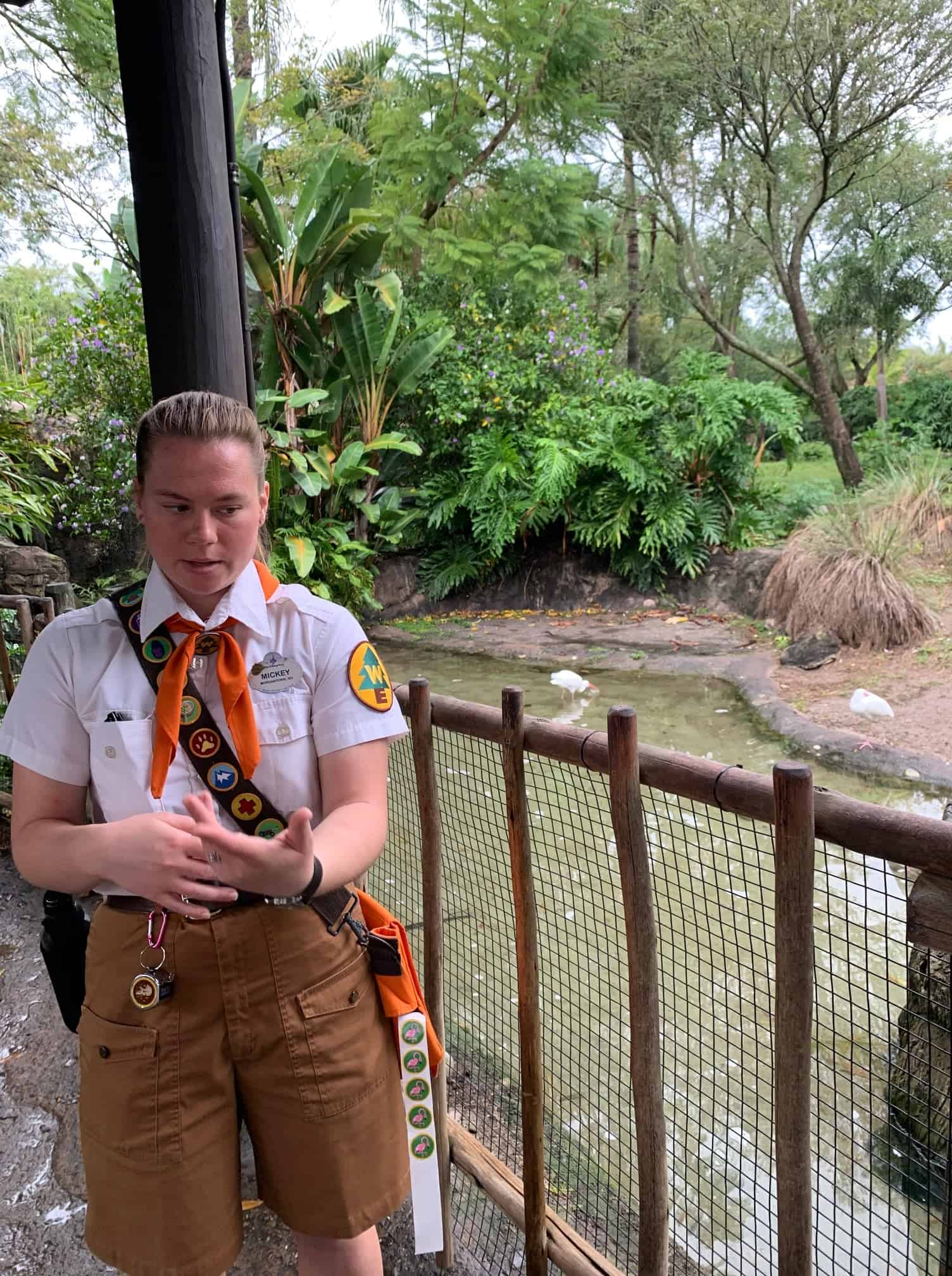 Ultimate Guide to Wilderness Explorers at Animal Kingdom
