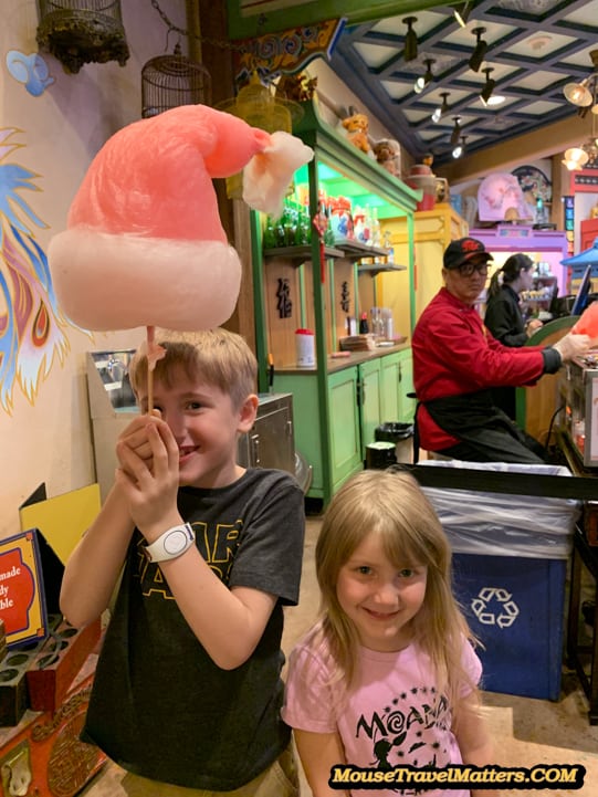 These unique and beautiful sugar creations were introduced at House of Good Fortune merchandise location in the China Pavilion  by Wenbo Zhang. Artisan Cotton Candy at Epcot.