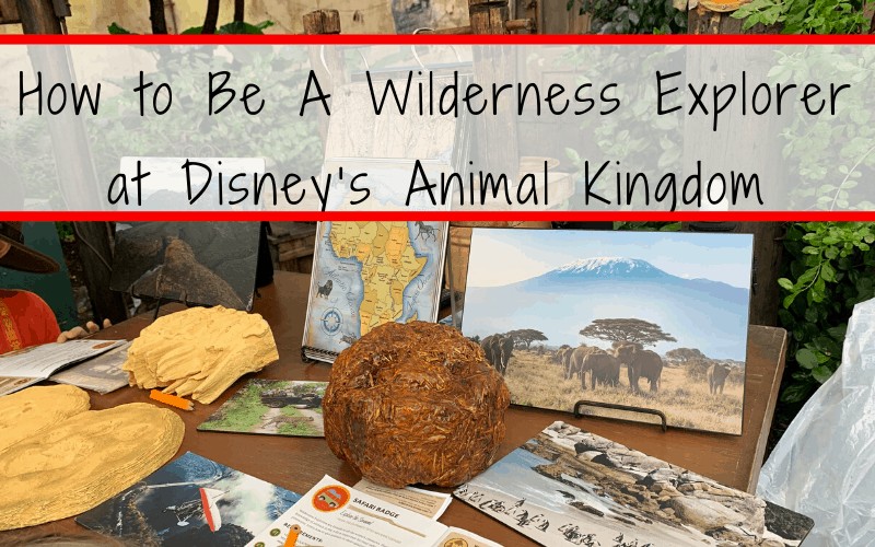Caw! Caw! Roar! How to become a Senior Wilderness Explorer at Disney's Animal Kingdom