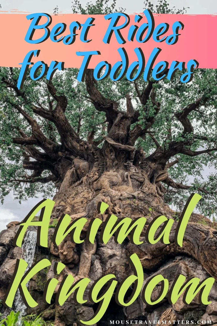 Best Rides for Toddlers at Disney's Animal Kingdom