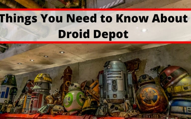 Things You Need to Know About Droid Depot - Custom Astromech Unit ...