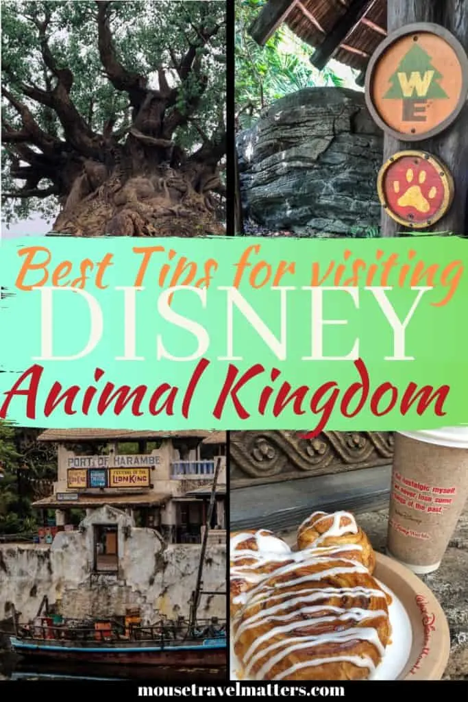 Best Tips for Visiting Disney Animal Kingdom | Food to attractions, exclusive tours and vacation tips for families visiting Walt Disney World Animal Kingdom