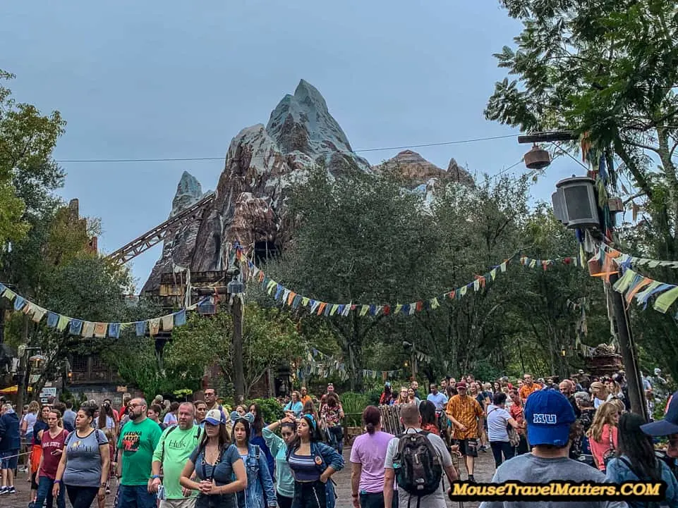 Best Tips for Visiting Disney Animal Kingdom | Food to attractions, exclusive tours and vacation tips for families visiting Walt Disney World Animal Kingdom