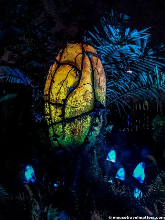 Best Tips for Visiting Disney Animal Kingdom | Food to attractions, exclusive tours and vacation tips for families visiting Walt Disney World Animal Kingdom