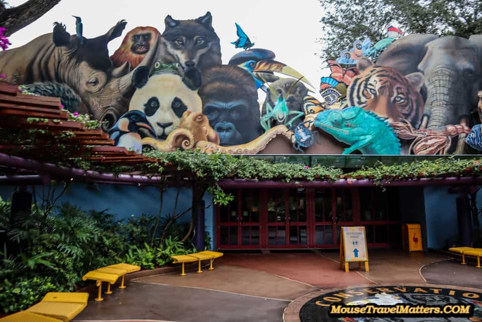Best Rides for Toddlers at Disney's Animal Kingdom