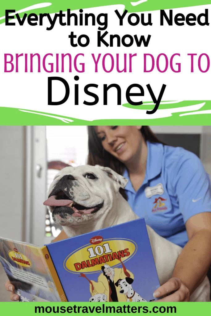 Everything You Need to Know About Bringing Your Dog to Disney Parks and