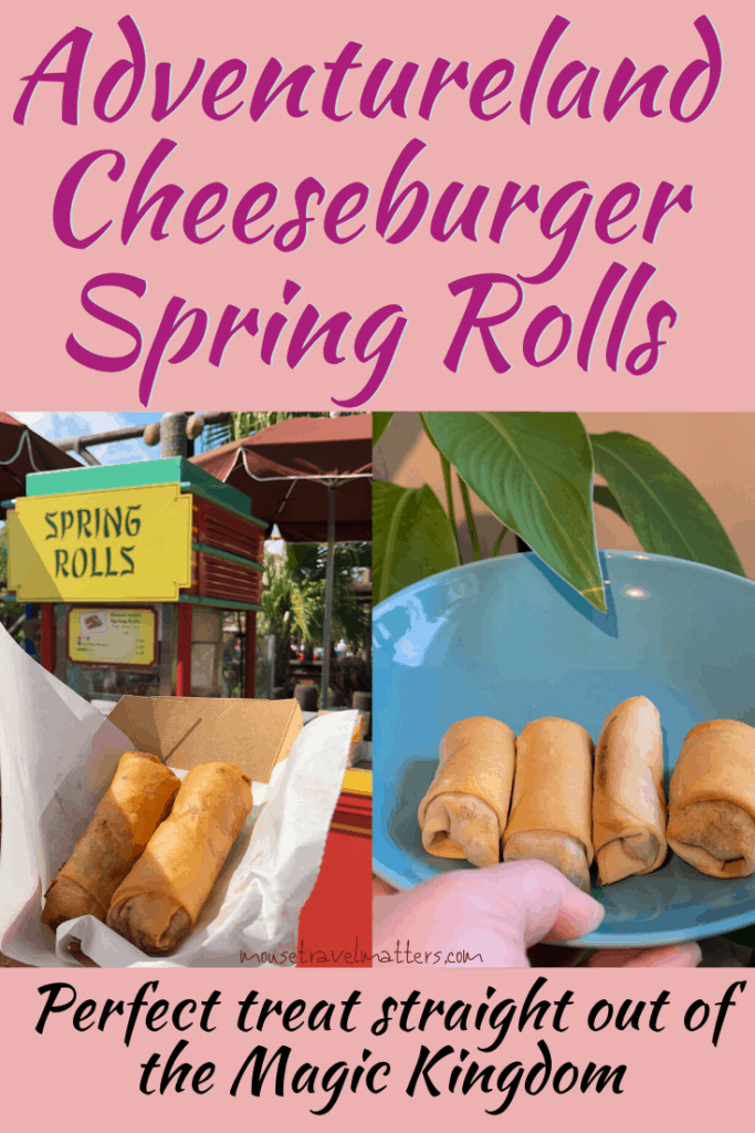 Adventureland Cheeseburger Spring Rolls