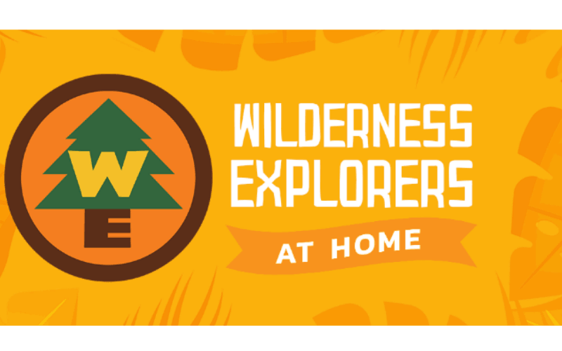 Earn Wilderness Explorer Badges at Home on the My Disney Experience App!