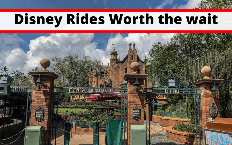Disney World Rides Worth The Wait
